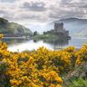 Scotland