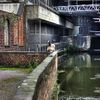 Vẻ đẹp lộng lẫy của Birmingham