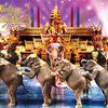 Biểu diển xiếc Voi ờ Phuket