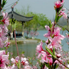 Cảnh đẹp Tây Hồ