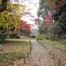 Nét đẹp Tokyo