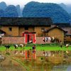 Bản làng