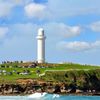 Bãi cỏ xanh mướt dưới chân ngọn hải đăng trên bờ biển Wollongong, bang New South Wales.
