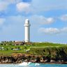Bãi cỏ xanh mướt dưới chân ngọn hải đăng trên bờ biển Wollongong, bang New South Wales.