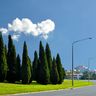 Đồi Vernon, điểm trung tâm của thủ đô Canberra.