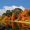Mùa thu trong công viên trung tâm thủ đô Canberra.
