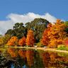 Mùa thu trong công viên trung tâm thủ đô Canberra.