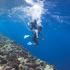 Chuyến du lịch bơi lặn lý thú tại đảo Molokini Maui Hawaii
