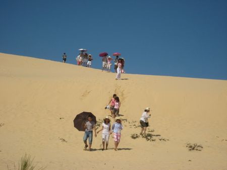 Cồn cát