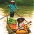 Cần Thơ và chợ nổi