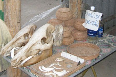 Sản vật núi rừng cũng được khai thác.