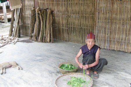 hay cuộc sống bình dị của người dân nghèo.