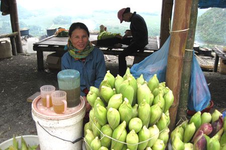 Trên đường, du khách có thể thưởng thức món ngô nếp Mai Châu.
