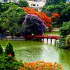 Hoa Phượng nở ở Hà Nội