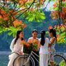 Hoa Phượng nở ở Hà Nội