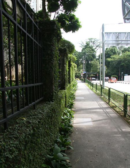 Con đường dành cho khách đi bộ ra trạm xe bus gần Vườn bách thảo Singapore.