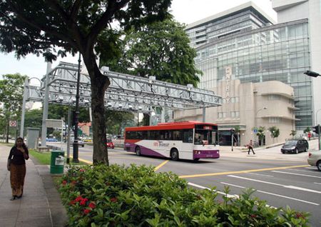 Mỗi chuyến cách nhau từ 10-15 phút. Hàng nghìn xe bus đi các ngả, các tuyến Singapore, làm cho sự đi lại bằng xe bus trở lên vô cùng thuận tiện.