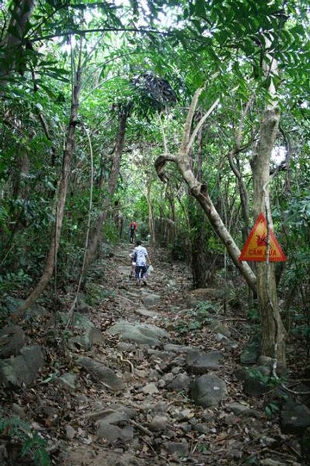 Trekking lên đỉnh