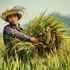 Việt Nam đất nước con người