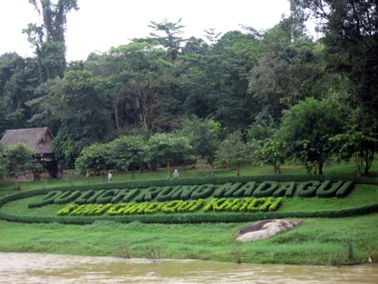 Quang Cảnh Thiên Nhiên Rừng Madagui