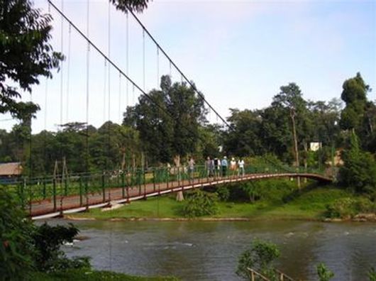Quang Cảnh Thiên Nhiên Rừng Madagui