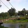 Quang Cảnh Thiên Nhiên Rừng Madagui