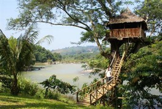 Quang Cảnh Thiên Nhiên Rừng Madagui