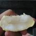 Thốt Nốt…đây!