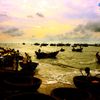 Cảng cá Phước Hải