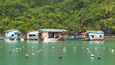 Làng chài Vung Viêng