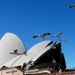 Sydney
