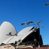 Sydney