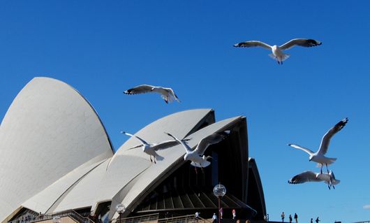 Sydney