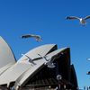 Sydney