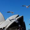 Sydney