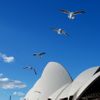 Sydney