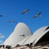 Sydney
