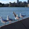 Sydney