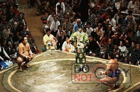 Nhà thi đấu Sumo