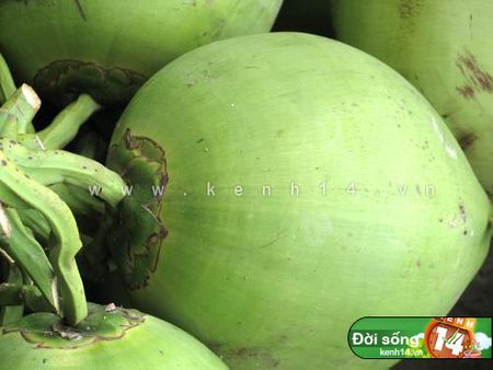 Quả n&agrave;o xanh mướt thế n&agrave;y l&agrave; dừa non nh&eacute;!