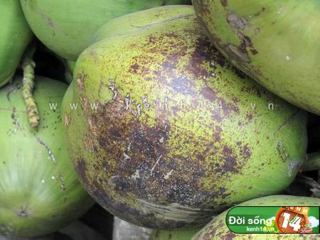 Quả n&agrave;y th&igrave; gi&agrave; qu&aacute; r&ugrave;i, chỉ để kho thịt...
