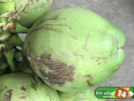 Kh&ocirc;ng qu&aacute; xanh chỉ hơi s&aacute;ng thế n&agrave;y l&agrave; ngon n&egrave;!