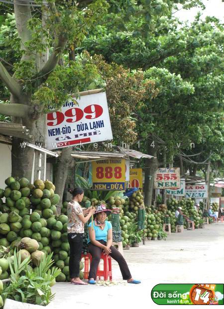 Qu&aacute;n x&aacute; qu&agrave; Thanh H&oacute;a