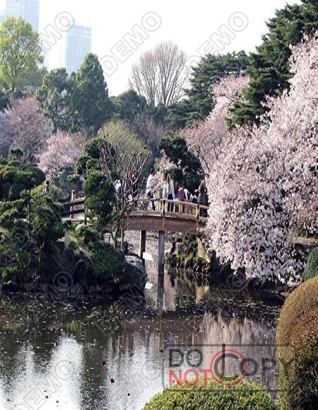 Vườn quốc gia Shinjuku Gyoen