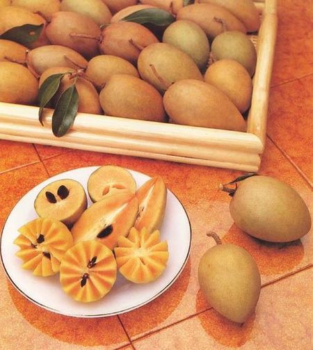 Hồng xiêm Xuân Đỉnh