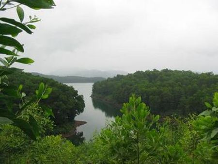 Thiên nhiên Hồ Phú Ninh - Quảng Nam