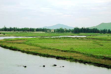 Sông Long hiền hoà uốn lượn.