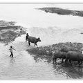 Qua miền nắng gió
