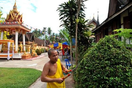 Một nhà sư đang chăm sóc cây cảnh trong khuôn viên chùa Sisaket.
