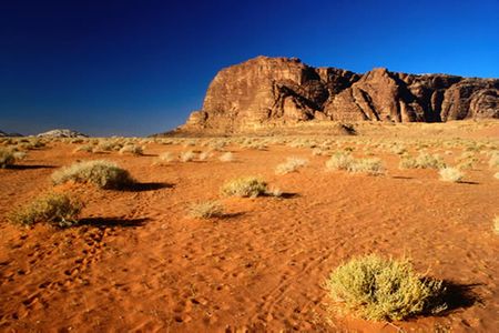 Phong cảnh tại sa mạc Wadi Rum, Ma